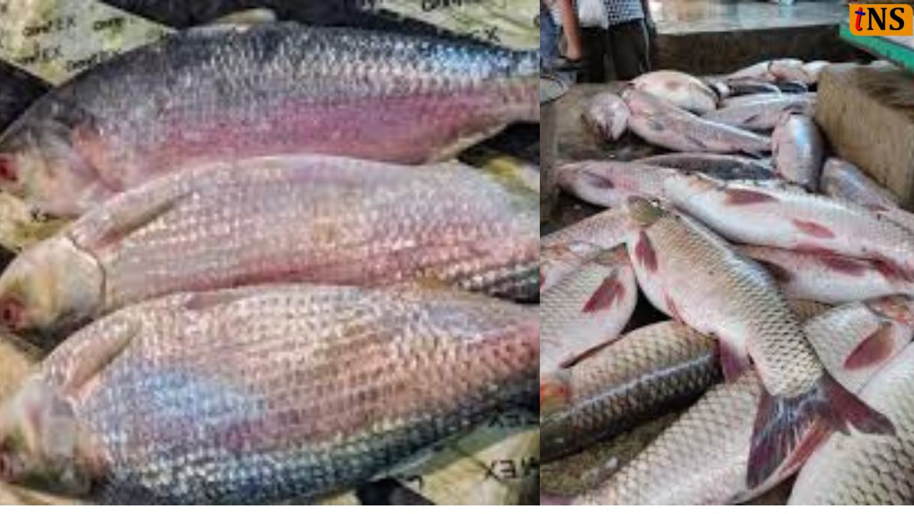Bangladeshi Fish Ban in Meghalaya: Illegal Bangladeshi Fish Restricted in Two Districts