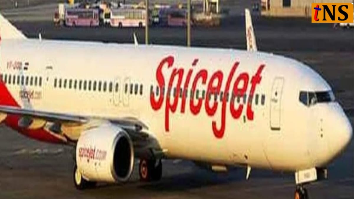 SpiceJet Flight to Leh Returns to Delhi After Mid-Air Technical Snag