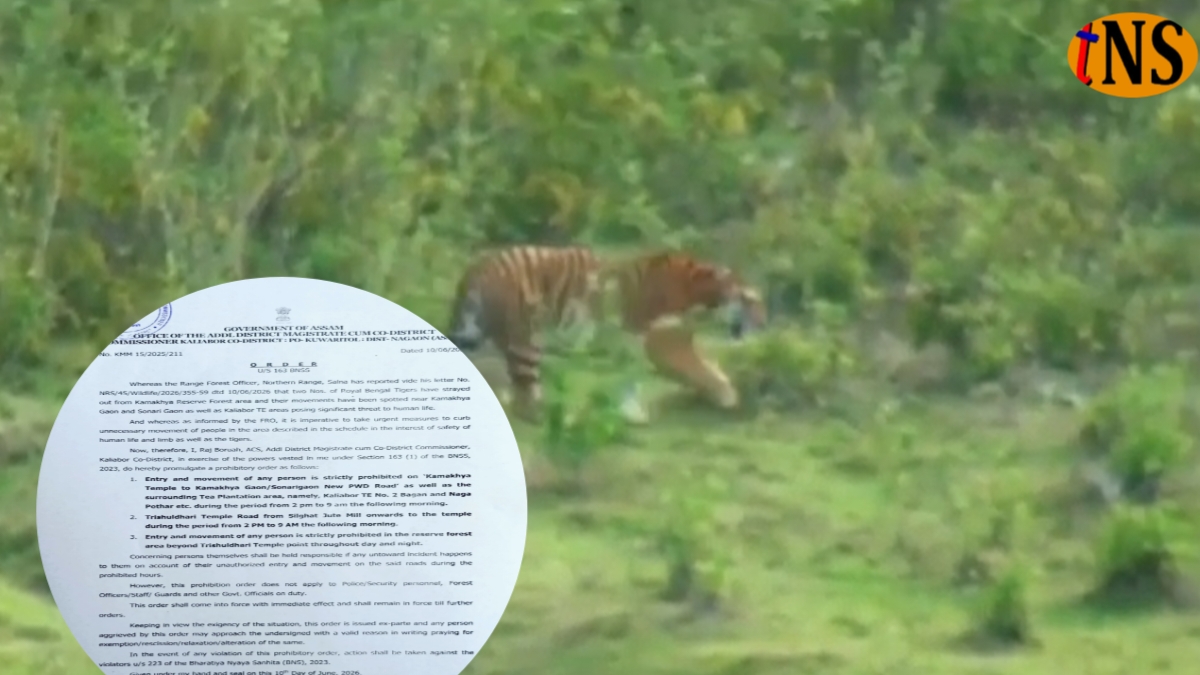 Royal Bengal Tigers in Kaliabor Trigger Restrictions Under Section 163